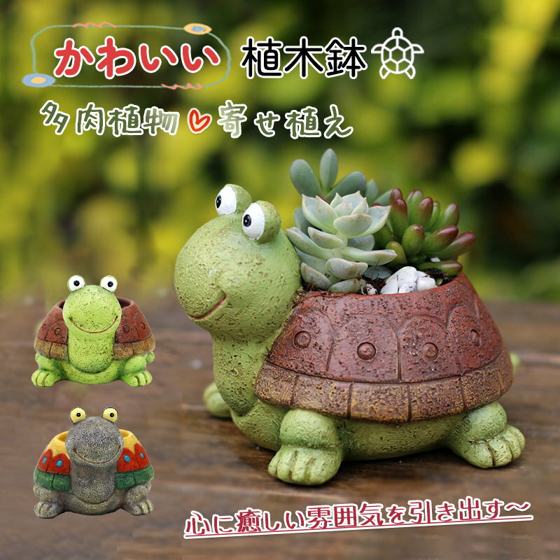 鉢 植木鉢 亀 かわいい 鉢植え 花 多肉植物 寄せ植え フラワーポット ガーデンポット サボテン プランター 箱庭 ガーデン 誕生日 贈り物 ギフト ミニチュア景観