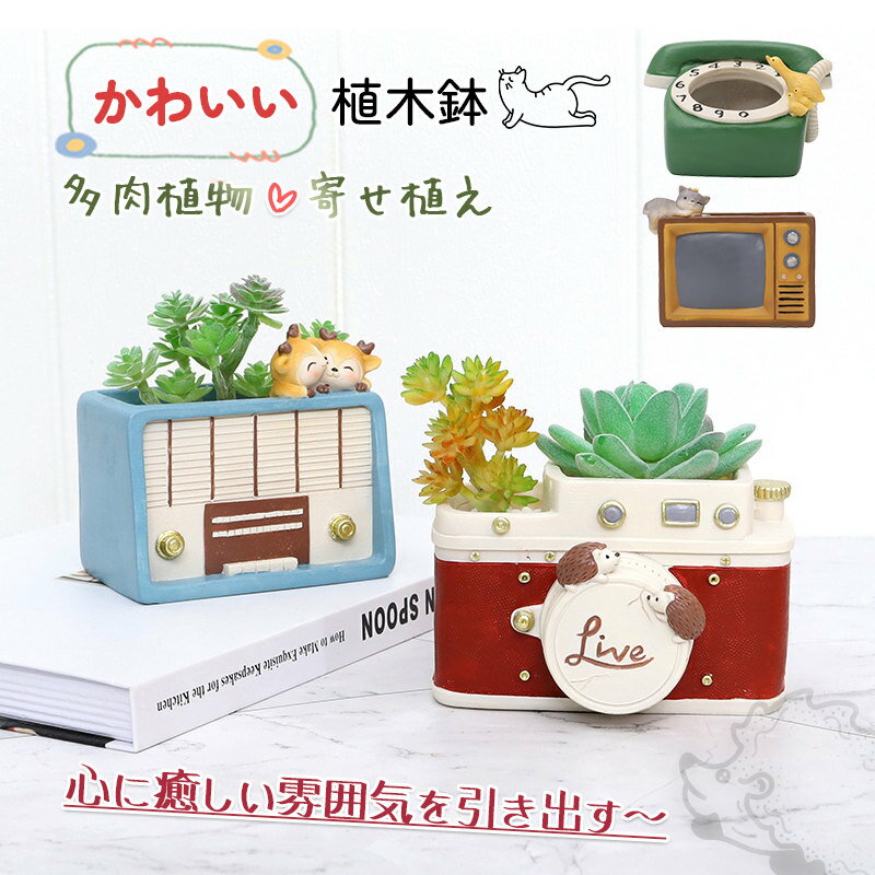 Rakuten - 鉢 植木鉢 樹脂製 多肉植物 寄せ植え 鉢植え 花 フラワーポット ガーデンポット サボテン プランター 箱庭 ガーデン 誕生日 贈り物 DIY ミニチュア景観