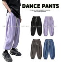 ダンスパンツ ヒップホップ ダンス衣装 メンズ レディース 大人 HIPHOP ダンスファッション ダンスレッスン着 練習着 K-POP 韓国 黒 紫 青 グレ...