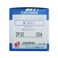 テンパール B-53EC 20A Eシリーズ 経済型ブレーカ 2