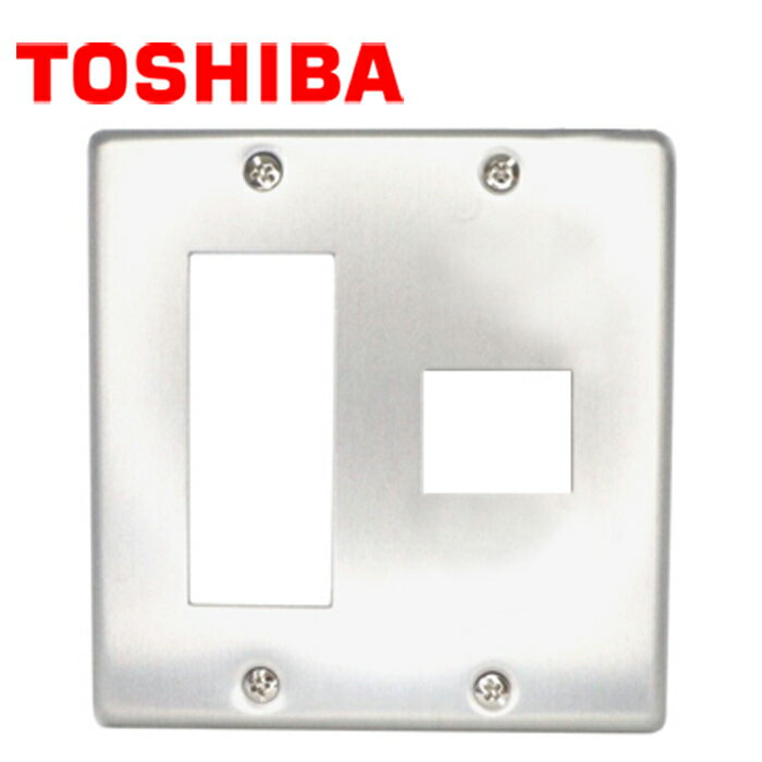 乐天商城 - TOSHIBA/東芝ライテック DG6124N E's スイッチ用プレート WIDE-i /E'sコンセント用プレートト 4個用(3+1) ネオメタル アルミ製【取寄商品】