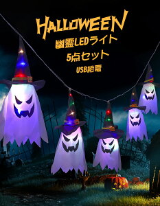 ハロウィン 飾り 屋外 玄関 飾り付け LEDライト LED ライト飾り USB ゴースト イルミネーション 吊り下げ LEDストリングライト 吊り飾り USB給電式 ライトのみ 雰囲気造り 幽霊 学園祭 室外 室内 庭対応 装飾 お化け ハロウィーン 送料無料