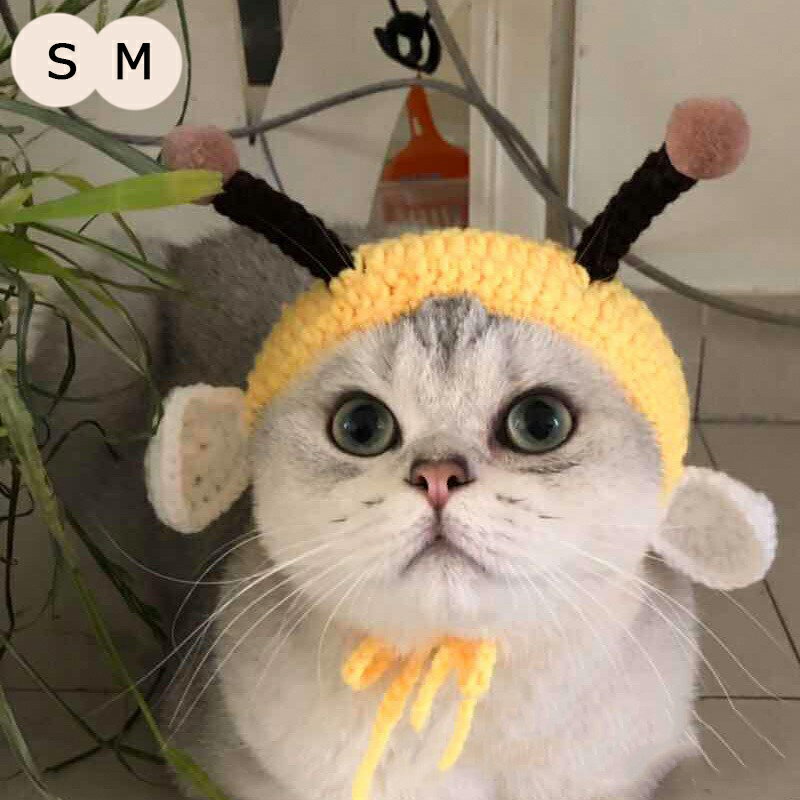猫 帽子 蜂 ペット用帽子 犬用 小型犬 帽子 キャット帽子 猫用帽子 被り物 着ぐるみ キャットウエア ドッグウエア イヌ いぬ ネコ ねこ 猫の帽子 暖かい 帽子 秋 冬 おしゃれ 可愛い 無地 コスプレ 仮装 コスチューム ハロウィン 春 写真 撮影 お花見 送料無料のサムネイル