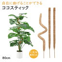 【クーポンで1480円〜】植物 園芸 支柱 おしゃれ 園芸支柱 観葉植物 ガーデニング 花 ヘゴ フラワー サポート 支柱 伸びる 支え棒 ココ ココナッツ ス...