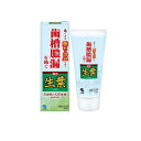 【3980円以上で注文可能】生葉(しょうよう) 100g