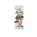 【3980円以上で注文可能】メンズビゲン グレーヘア ナチュラルグレー 40g (+40g)