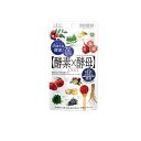 【3980円以上で注文可能】イースト×エンザイム ダイエット 酵素×酵母 30回分 60粒