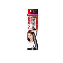 【3980円以上で注文可能】サロンドプロ カラーオンリタッチ 白髪かくしEX ナチュラルブラウン 15mL