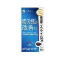 【3980円以上で注文可能】ファイン 還元型コエンザイムQ10 90粒