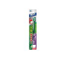 【3980円以上で注文可能】生葉(しょうよう) 45°磨きブラシ レギュラーヘッド ふつう 1本 (ふつう)