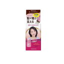 【3980円以上で注文可能】レディース トップシェード パウダーヘア ダークブラウン 20g