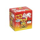 【3980円以上で注文可能】貼るぬくっ子 ミニサイズ 衣類に貼るカイロ 30個入