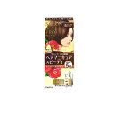 【3980円以上で注文可能】サロンドプロ ヘアマニキュア・スピーディ(白髪用) 5 ナチュラルブラウン 1個