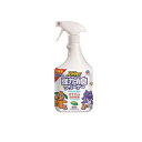 【3980円以上で注文可能】JOYPET(ジョイペット) 強力消臭クリーナー 900mL (本体)