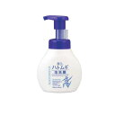 【3980円以上で注文可能】麗白 ハトムギ 泡洗顔 160mL (本体ポンプ)