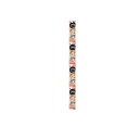 【3980円以上で注文可能】キャネット 3時のスープ 小海老添え クリームシチュー風 100g (25g×4袋)