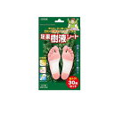 【3980円以上で注文可能】トプラン 足裏樹液シート 30枚