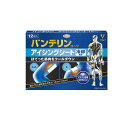【3980円以上で注文可能】バンテリンコーワ アイシングシート 冷却専用 12枚入