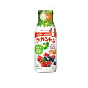 【3980円以上で注文可能】サラヤ 甘味料 ラカントS シロップP 280g