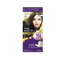 【3980円以上で注文可能】サロンドプロ 泡のヘアカラー・エクストラリッチ 白髪用 4A アッシュブラウン 1個