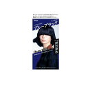 【3980円以上で注文可能】ビューティーン メイクアップカラー ブルーブラック 1組入