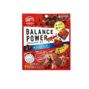 【3980円以上で注文可能】バランスパワーミニ チョコチップ 52g