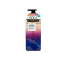 【3980円以上で注文可能】Levata レバタ スカルプスパシャンプー 本体ポンプ 400mL
