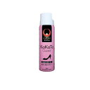 【3980円以上で注文可能】エバーズエクストラ かかとガード 靴ズレ防止スプレー 100mL
