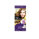 【3980円以上で注文可能】サロンドプロ 泡のヘアカラー・エクストラリッチ 白髪用 2B 明るいベージュブラウン 1組入