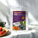 【送料無料!!】濃縮ビルベリー&ルテイン+コエンザイムQ10 約1ヵ月分 30粒 サプリメント ビルベリー・ルテイン・コエンザイムQ10・プルーベリー・カシスエ...