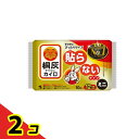 【送料無料!(地域限定)】桐灰カイロ 貼らないタイプ ミニ 12時間持続 10個入 2個セット