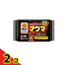 【送料無料!(地域限定)】桐灰カイロ マグマ 貼らないタイプ レギュラー 12時間持続 10個入 2個セット