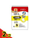 【送料無料!(地域限定)】桐灰 ヒエナース 手の温熱ホルダー つめ替用温熱シート 10枚入 (5回分) 2個セット