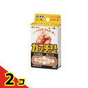 【送料無料!(地域限定)】ニチバン ガッチリバン 絆創膏 Lサイズ 10枚入 (GB10L) 2個セット
