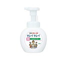 【送料無料!(地域限定)】キレイキレイ薬用泡ハンドソープ シトラスフルーティの香り ポンプ本体 250mL