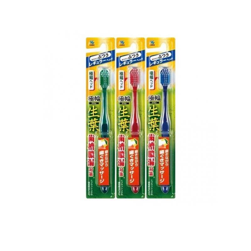 【送料無料!(地域限定)】生葉(しょうよう) 極幅ブラシ レギュラーヘッド 1本入 (ふつう)