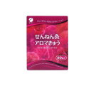 【送料無料!(地域限定)】せんねん灸 アロマきゅう 60点