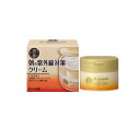 【送料無料!(地域限定)】50の恵 朝の紫外線対策クリーム 90g