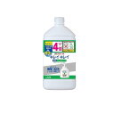 【送料無料!(地域限定)】キレイキレイ 薬用液体ハンドソープ 800mL (詰め替え用 4回分)