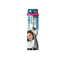 【送料無料!(地域限定)】サロンドプロ カラーオンリタッチ 白髪かくしEX ナチュラルブラック 15mL