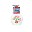 【送料無料!(地域限定)】キレイキレイ薬用泡ハンドソープ フルーツミックスの香り ポンプ本体 250mL