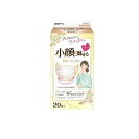 【送料無料!(地域限定)】ビースタイル マスク プリーツタイプ ふつうサイズ プレミアムホワイト 20枚入
