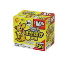【送料無料!(地域限定)】ポカポカ家族 貼る レギュラー PKN-30HR 30個