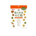 【送料無料!(地域限定)】ライオン菓子 薬日本堂のど飴 74g