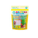 【送料無料!(地域限定)】はみがき先生 キッズ用Y字フロス 30本入