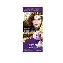 【送料無料!(地域限定)】サロンドプロ 泡のヘアカラー・エクストラリッチ 白髪用 5 ブラウン 1個