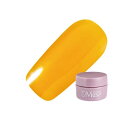 【送料無料!(地域限定)】PREGEL(プリジェル) ミューズ S210 クリアハニー 3g