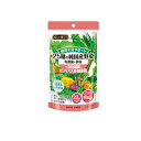 【送料無料!(地域限定)】金の青汁 25種の純国産野菜 乳酸菌×酵素+食物繊維・ビフィズス菌・酪酸菌 20日分 60粒