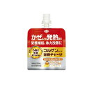 【送料無料!(地域限定)】コルゲンコーワ滋養チャージ 100mL× 1袋入