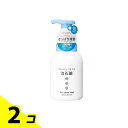 【送料無料!(地域限定)】コラージュフルフル泡石鹸 ポンプ 300mL 2個セット